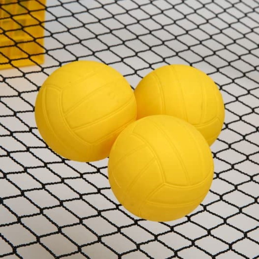 Spike Ball Game - Starker Sprungball mit Pumpe, Wettkampfbälle, runder